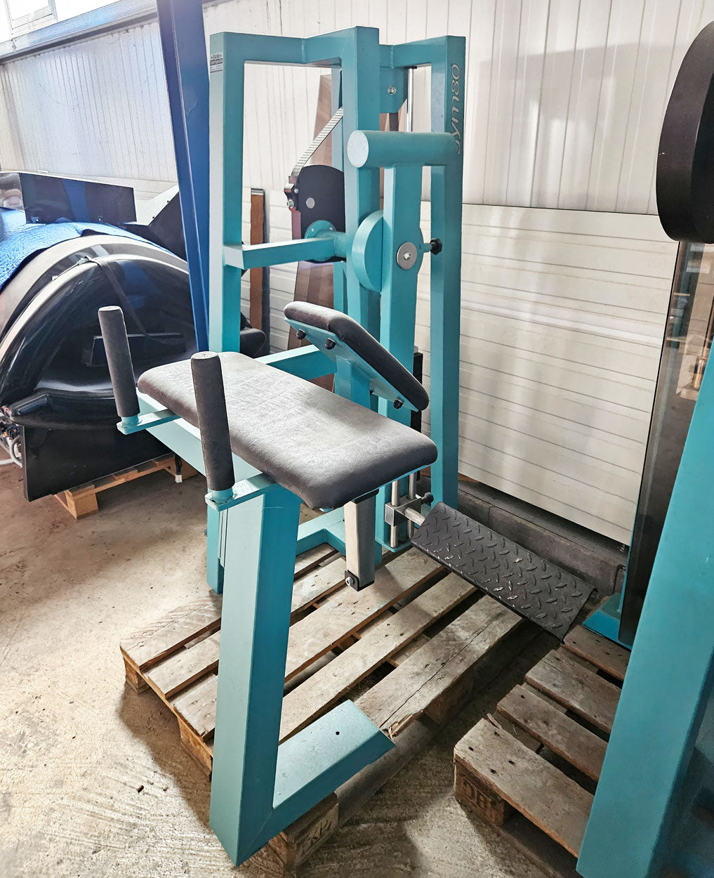 Gym80 Glutaeus radial, Pomaschine, Gluteus Kick, Rahmenfarbe Türkis, gebraucht - geprüfter Zustand