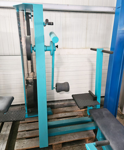 Gym80, Kickmaschine, Hüftpendel, Edition Line, Rahmenfarbe Türkis, gebraucht - geprüfter Zustand