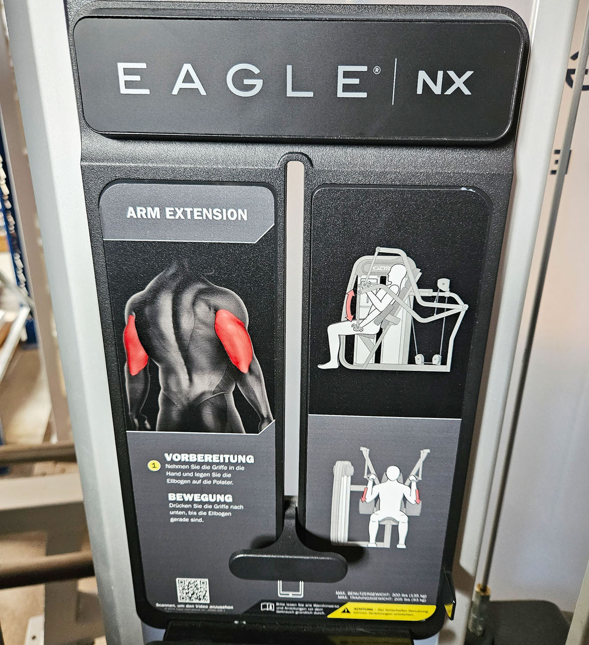Cybex Eagle NX Arm Extension, Triceps Machine, Triceps Press, Frame Color Anthracite, Used - Refurbished Condition