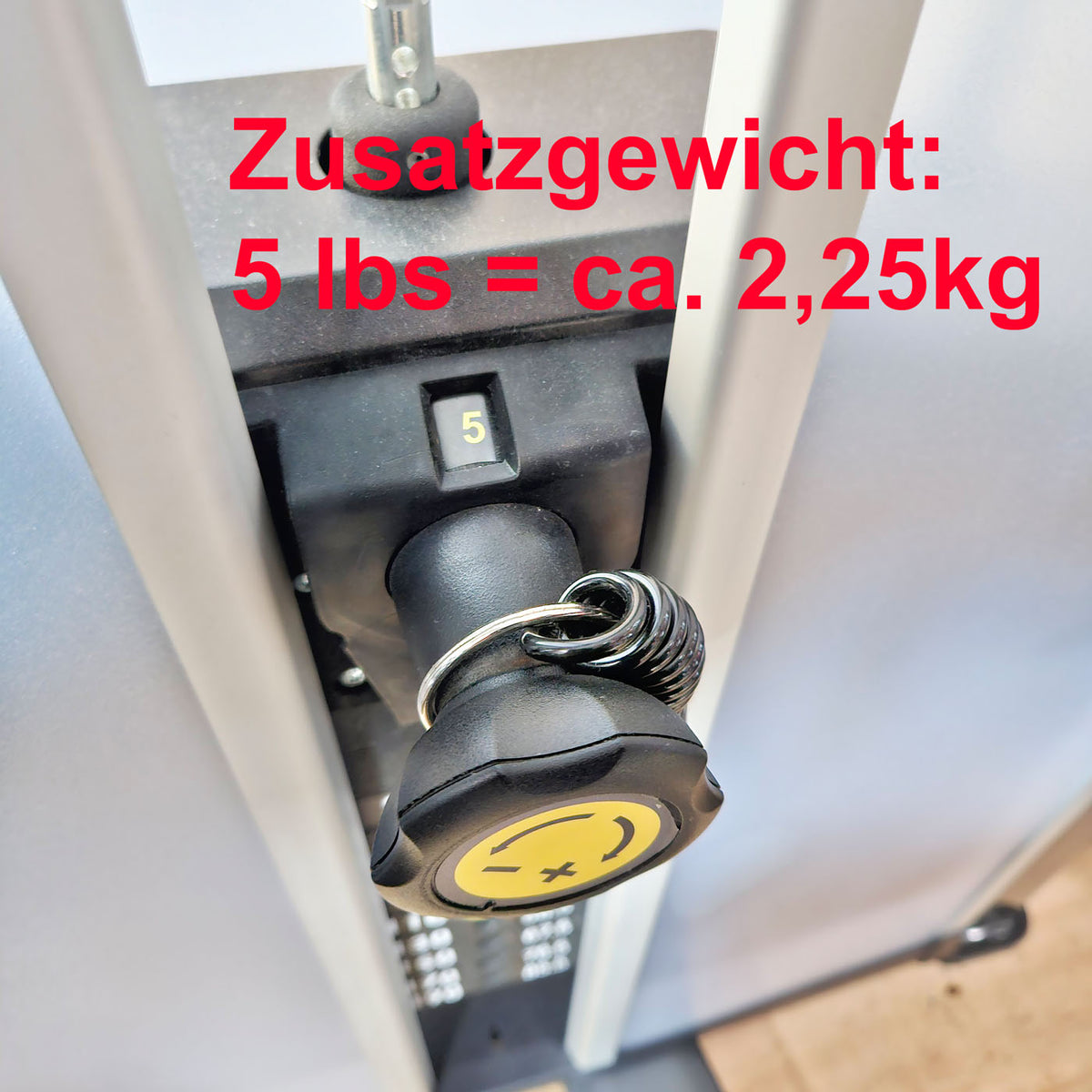 Cybex Eagle NX Arm Curl, Bizepsmaschine, Biceps Curl, Rahmenfarbe Anthrazit, gebraucht - überholter Zustand