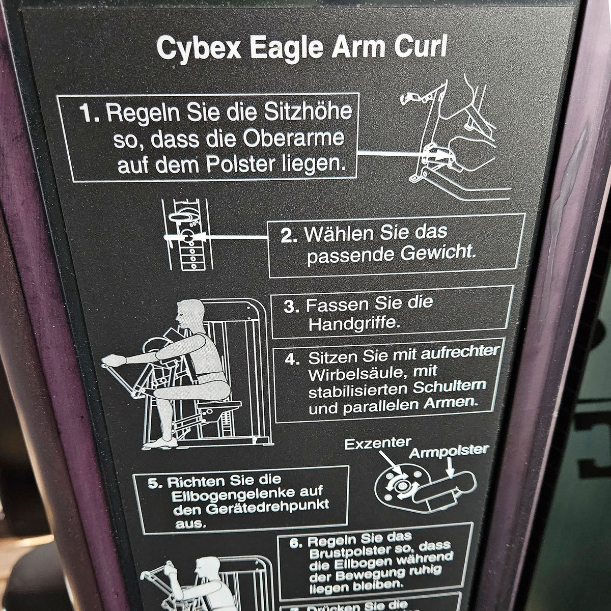 Cybex Eagle Arm Curl, biceps machine with eccentric, biceps curl, frame color anthracite, used - refurbished condition