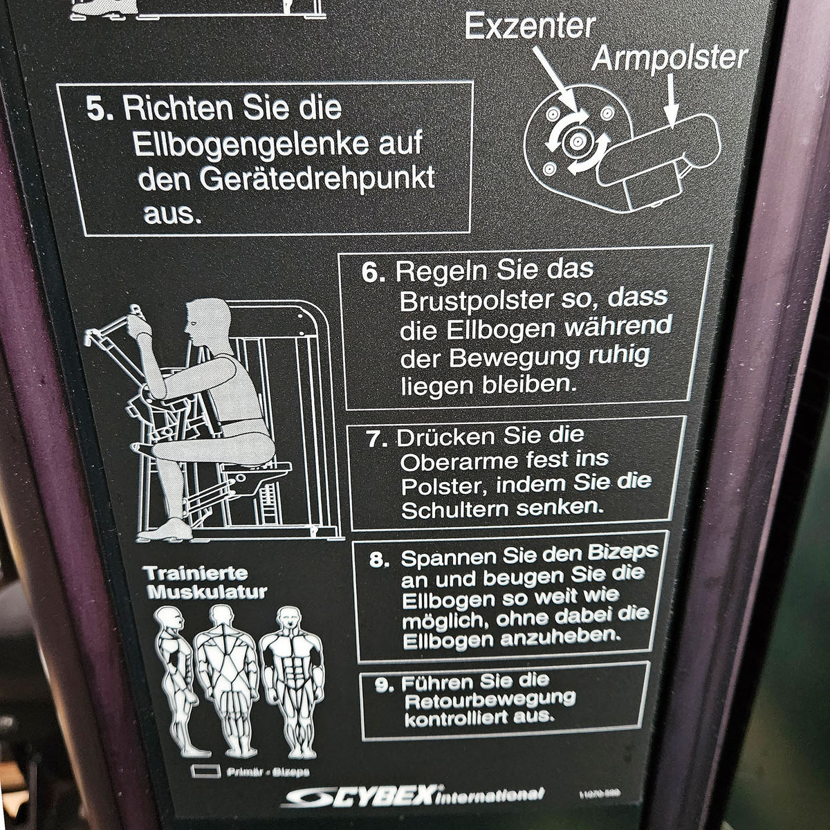 Cybex Eagle Arm Curl, biceps machine with eccentric, biceps curl, frame color anthracite, used - refurbished condition