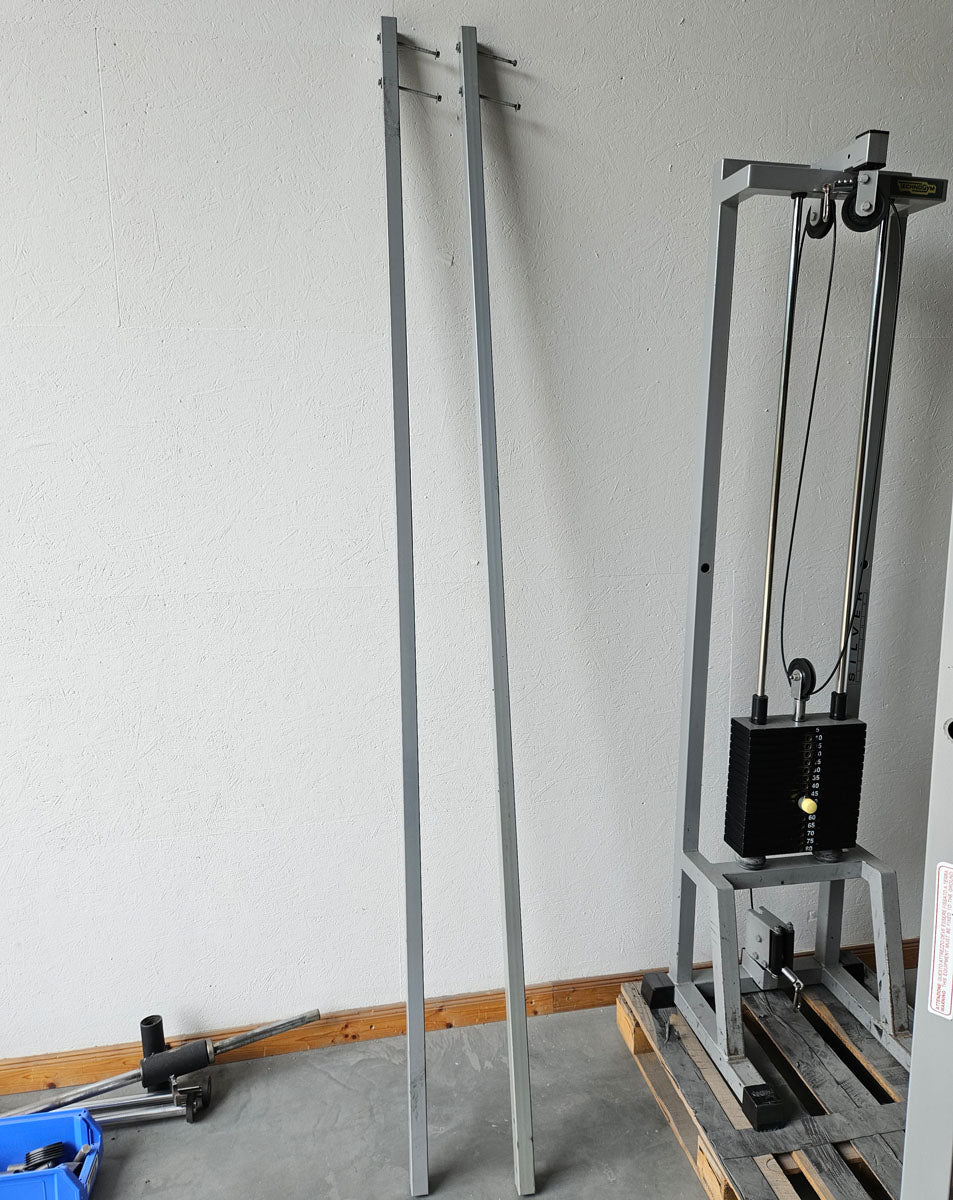 TechnoGym 2x Kabelzug, Cable Crossover, Seilzug von oben und unten, Silverline, Oldschool, Rahmenfarbe Silber, gebraucht - mit Gebrauchsspuren