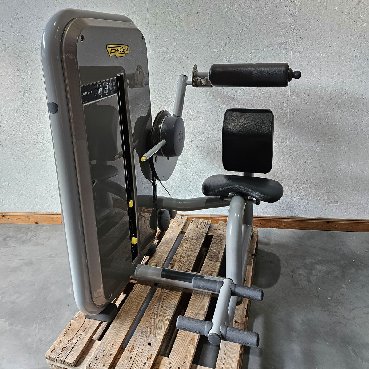 TechnoGym 12 Kraftgeräte im Set, Element Line Serie, Kraftgerätepark Fitnessstudio, gebraucht - überholter Zustand