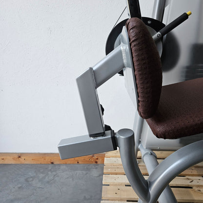 Proxowell bzw Proxomed Rückenflexion, Bauchmaschine, Rückenbeuger, Abdominal Crunch, 100kg Gewichtsblock, Compass bzw C-Well Serie, Rahmenfarbe Silber, gebraucht - überholter Zustand