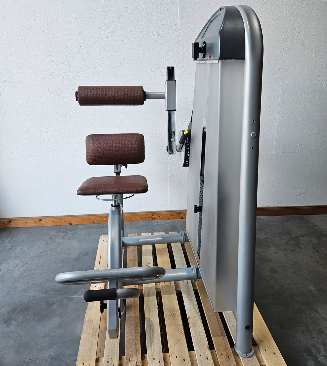 Proxowell bzw Proxomed Rückenflexion, Bauchmaschine, Rückenbeuger, Abdominal Crunch, 100kg Gewichtsblock, Compass bzw C-Well Serie, Rahmenfarbe Silber, gebraucht - überholter Zustand