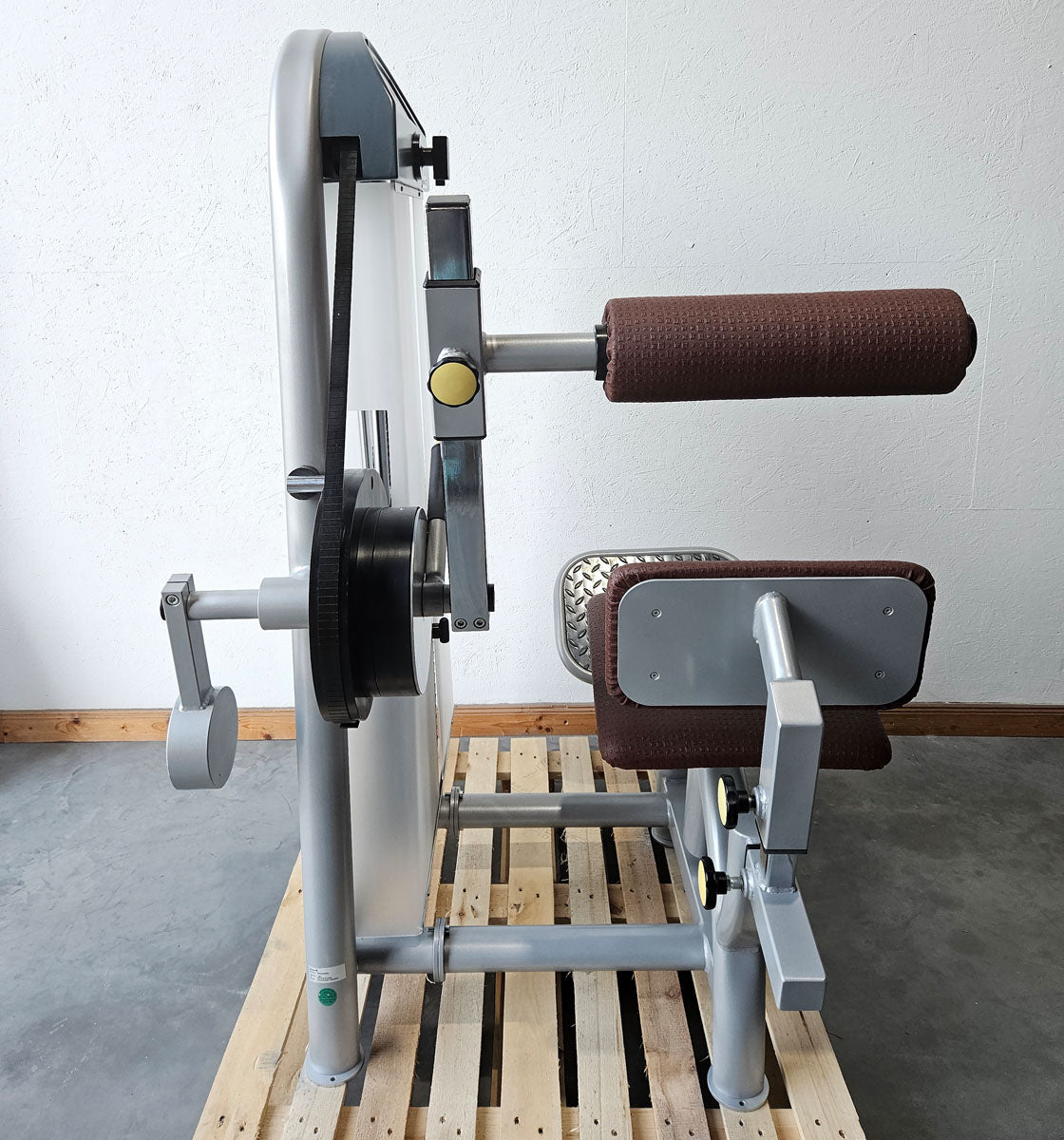 Proxowell bzw Proxomed Rückenflexion, Bauchmaschine, Rückenbeuger, Abdominal Crunch, 100kg Gewichtsblock, Compass bzw C-Well Serie, Rahmenfarbe Silber, gebraucht - überholter Zustand