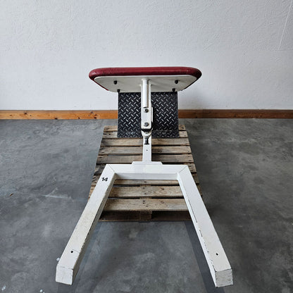 Gym80 Rückenstreckerbank, 45 Grad, Hyperextension, Rahmen Weiß, Polster Rot, gebraucht