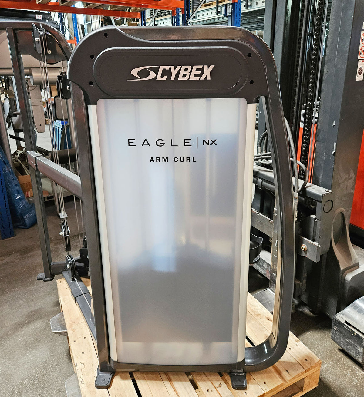 Cybex Eagle NX Arm Curl, Bizepsmaschine, Biceps Curl, Rahmenfarbe Anthrazit, gebraucht - überholter Zustand