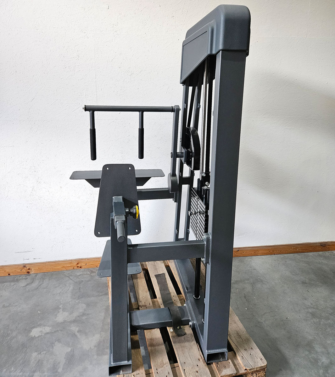 Horizontal triceps machine, triceps extension, triceps extension, manufacturer similar to Gym80 or L+K, frame color anthracite, used - tested condition