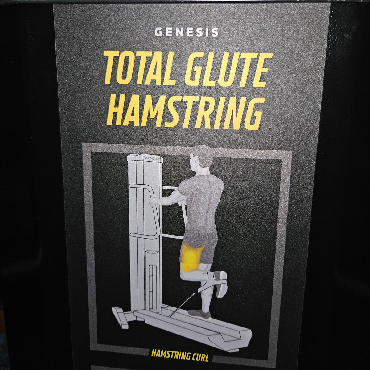 Freemotion Genesis Kraftgeräte Set, 10 Bilaterale Kabelzug Fitnessgeräte, Baujahr 2019 und 2020 - auch als Zirkel nutzbar, Made in USA - gebraucht - Neuwertiger Zustand