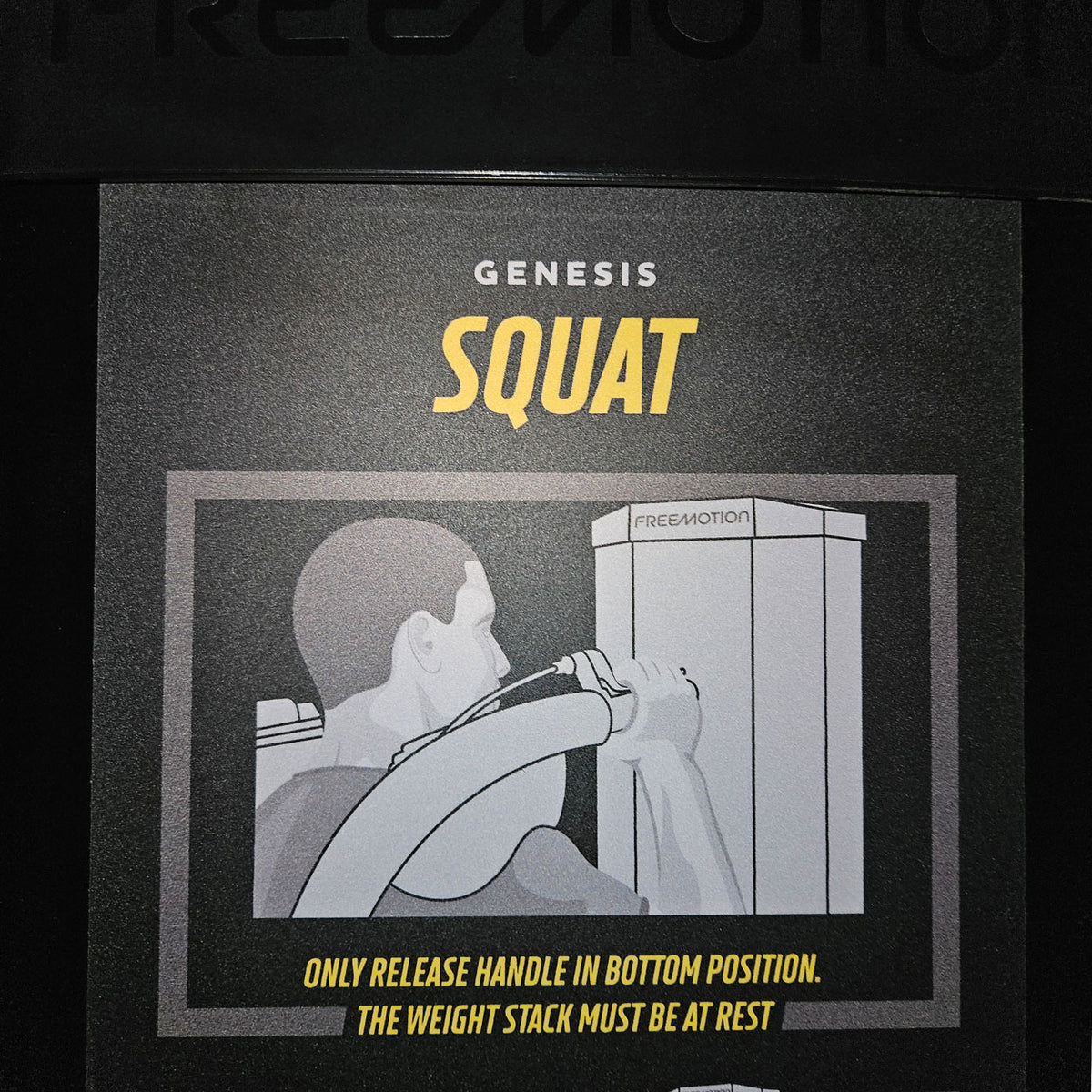 Freemotion Genesis Kraftgeräte Set, 10 Bilaterale Kabelzug Fitnessgeräte, Baujahr 2019 und 2020 - auch als Zirkel nutzbar, Made in USA - gebraucht - Neuwertiger Zustand