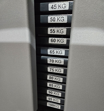 SportsArt Latzug Dual von Oben mit drehbaren Griffen S916, A916, N916 Independent Lat Pulldown, Pull Down DUAL, Rahmenfarbe Silber-Grau, gebrauchter - überholter Zustand
