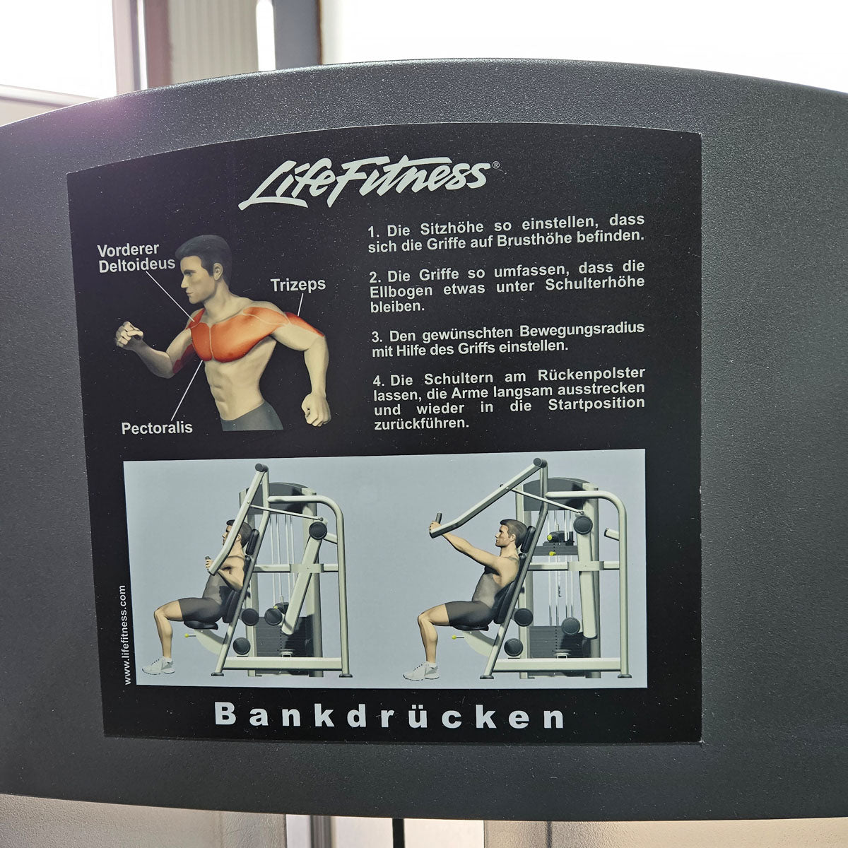 Life Fitness Bench Press, Chest Press, Chest Press, Bench Press Machine, 145 kg Weight Block, Signature Series, Frame Color Silver, Used - Refurbished Condition