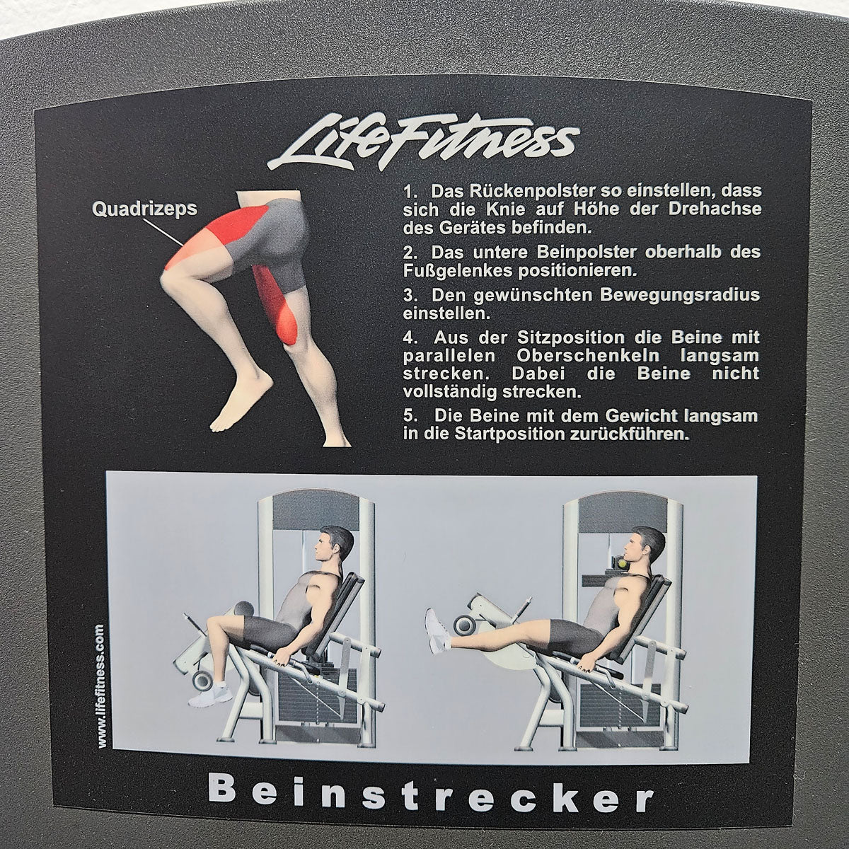 Life Fitness Beinstrecker sitzend, Leg Extension, Signature Serie, 145kg Gewichtsblock, Rahmenfarbe Silber, gebraucht - überholter Zustand