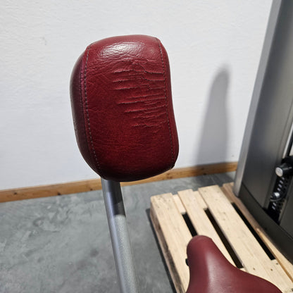 Life Fitness Abdominal Crunch, Bauchmaschine, Bauchmuskelmaschine, Abs Crunch, Signature Series, Rahmenfarbe Silber, gebraucht - überholter Zustand