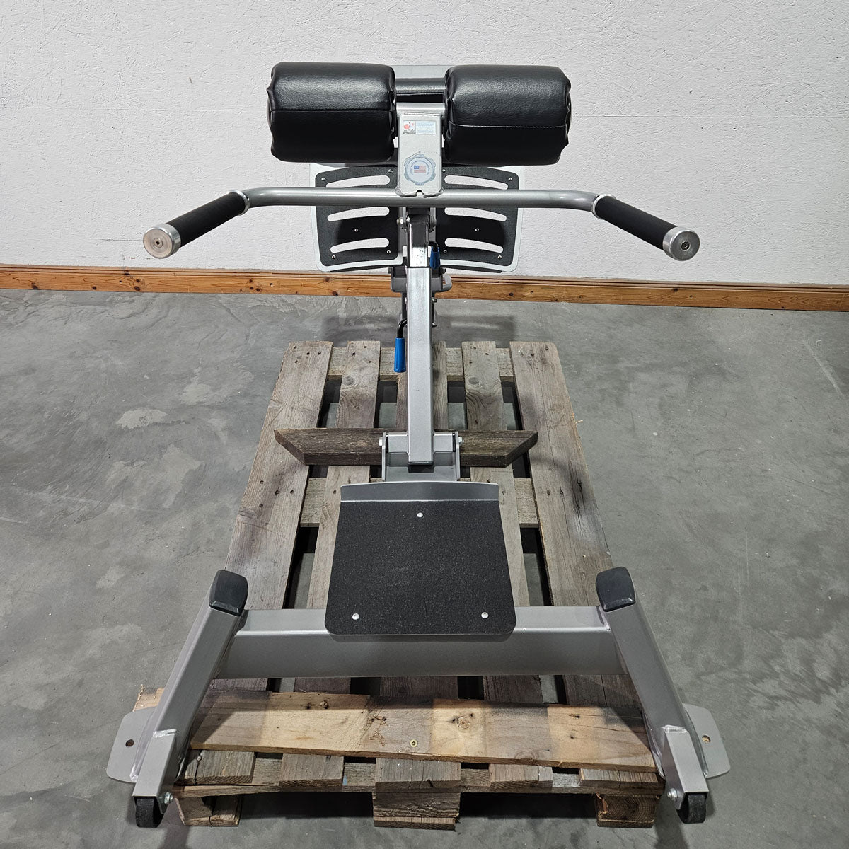 Nautilus Nitro Hyperextension, Rückenstreckerbank, 45° verstellbar, Adjustable Hip Extension F3AHE, Rahmenfarbe Silber, gebraucht - überholter Zustand