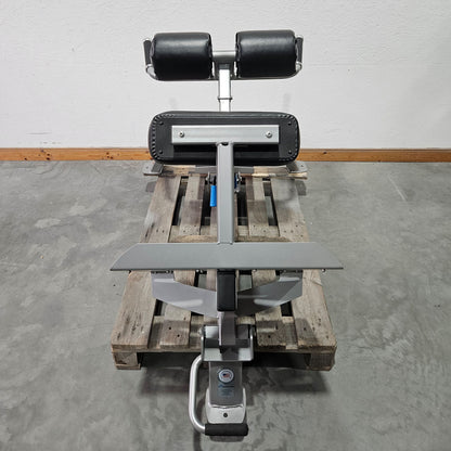 Nautilus Nitro Hyperextension, Rückenstreckerbank, 45° verstellbar, Adjustable Hip Extension F3AHE, Rahmenfarbe Silber, gebraucht - überholter Zustand