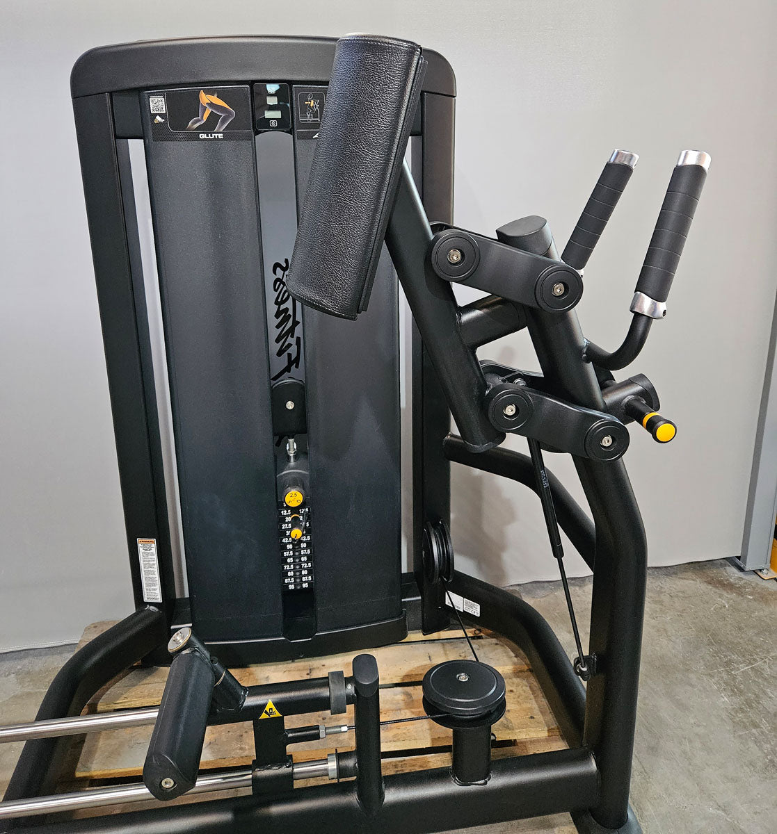Life Fitness Insignia Glute, Gluteusmaschine, Pomaschine stehend, Farbe Schwarz, gebraucht - überholter Zustand