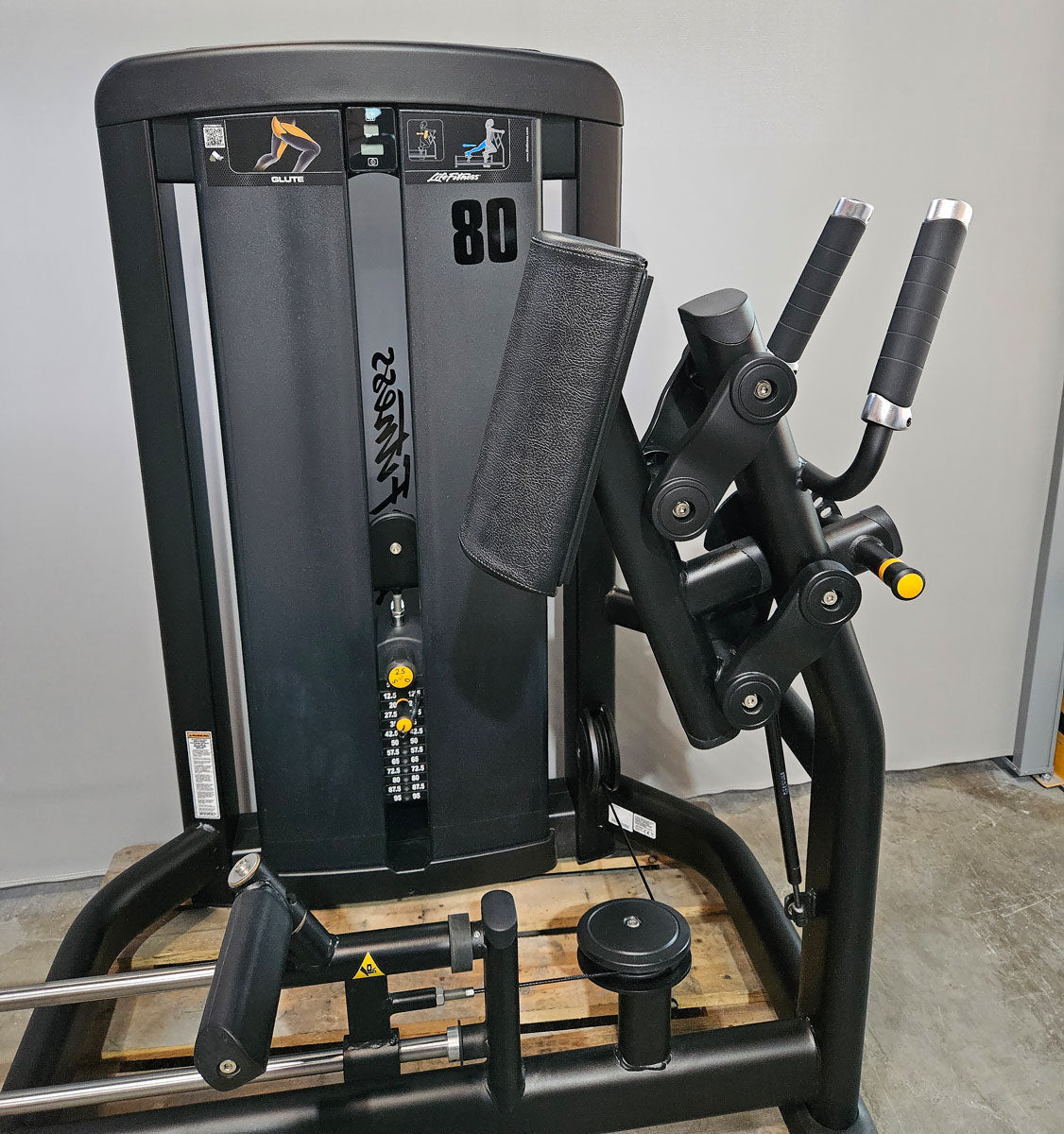 Life Fitness Insignia Glute, Gluteusmaschine, Pomaschine stehend, Farbe Schwarz, gebraucht - überholter Zustand