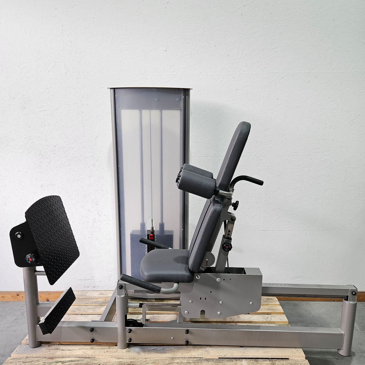 Pego Sport Funktionsstemme Kombi Sitzend-Liegend,  Beinpresse verstellbar, Rahmen Silber-Grau, gebraucht - überholter Zustand