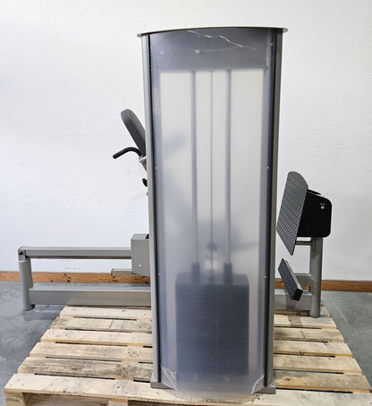 Pego Sport Funktionsstemme Kombi Sitzend-Liegend,  Beinpresse verstellbar, Rahmen Silber-Grau, gebraucht - überholter Zustand