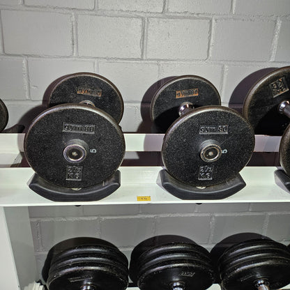 Gym80 Kurzhantelsatz aus Guss von 2,5 bis 40kg in 2,5kg Stufen ( 16 Paare ) Oldschool, Gym80 Kurzhantelablage gegen Aufpreis verfügbar, gebraucht - mit Gebrauchsspuren