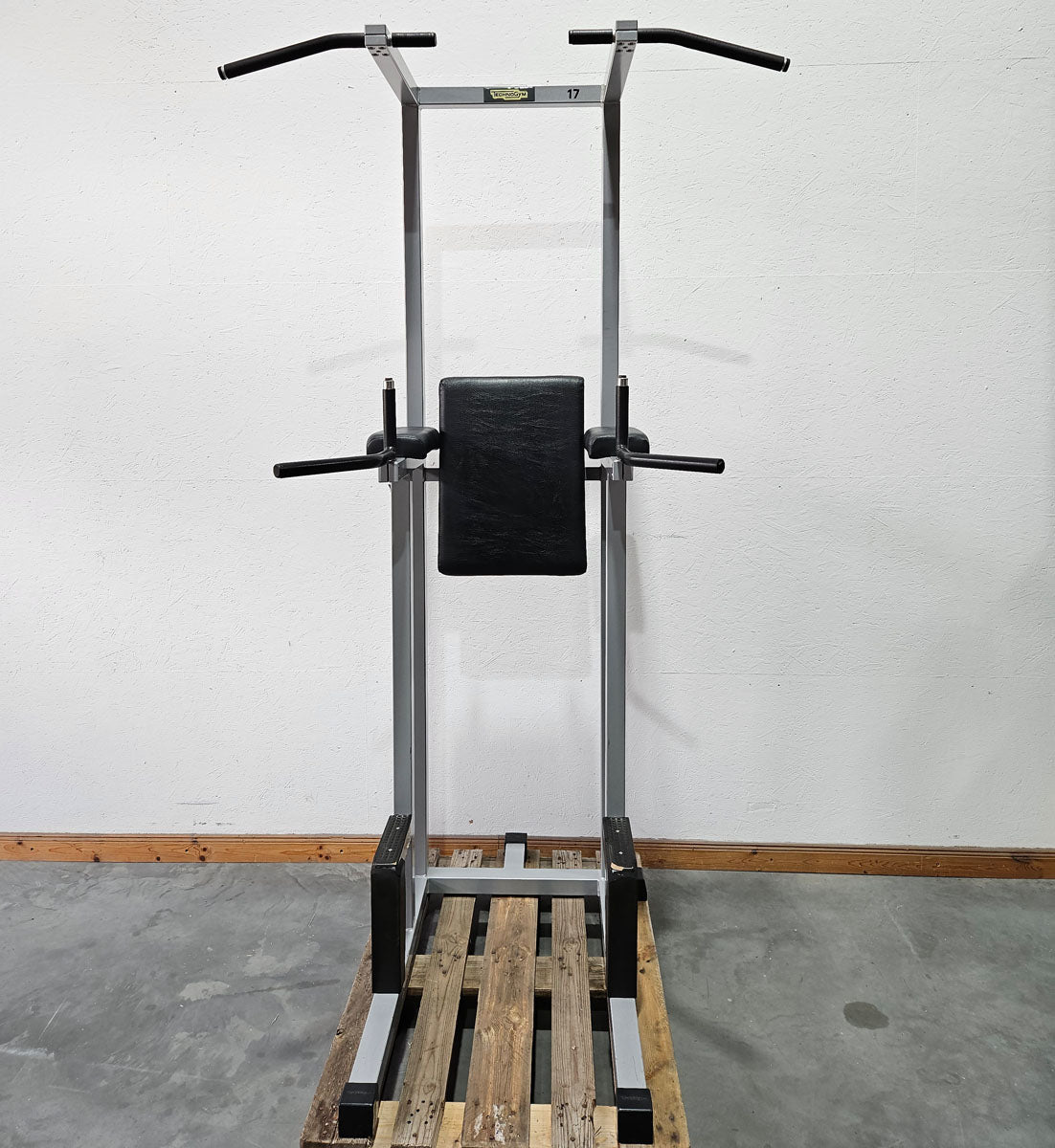 Technogym 3 in 1 Gerät, Dips, Beinheben und Klimmzug Ständer, Silverline, Rahmen Silber, gebraucht - geprüfter Zustand mit Gebrauchsspuren