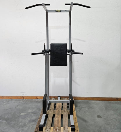 Technogym 3 in 1 Gerät, Dips, Beinheben und Klimmzug Ständer, Silverline, Rahmen Silber, gebraucht - geprüfter Zustand mit Gebrauchsspuren