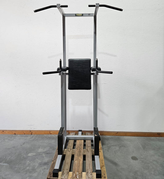 Technogym 3 in 1 Gerät, Dips, Beinheben und Klimmzug Ständer, Silverline, Rahmen Silber, gebraucht - geprüfter Zustand mit Gebrauchsspuren