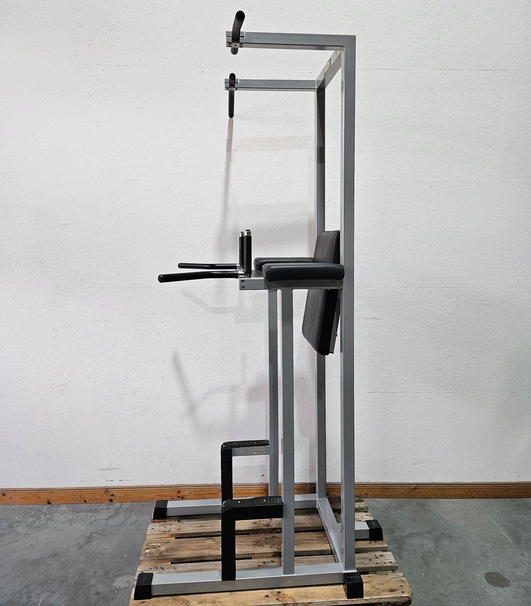 Technogym 3 in 1 Gerät, Dips, Beinheben und Klimmzug Ständer, Silverline, Rahmen Silber, gebraucht - geprüfter Zustand mit Gebrauchsspuren