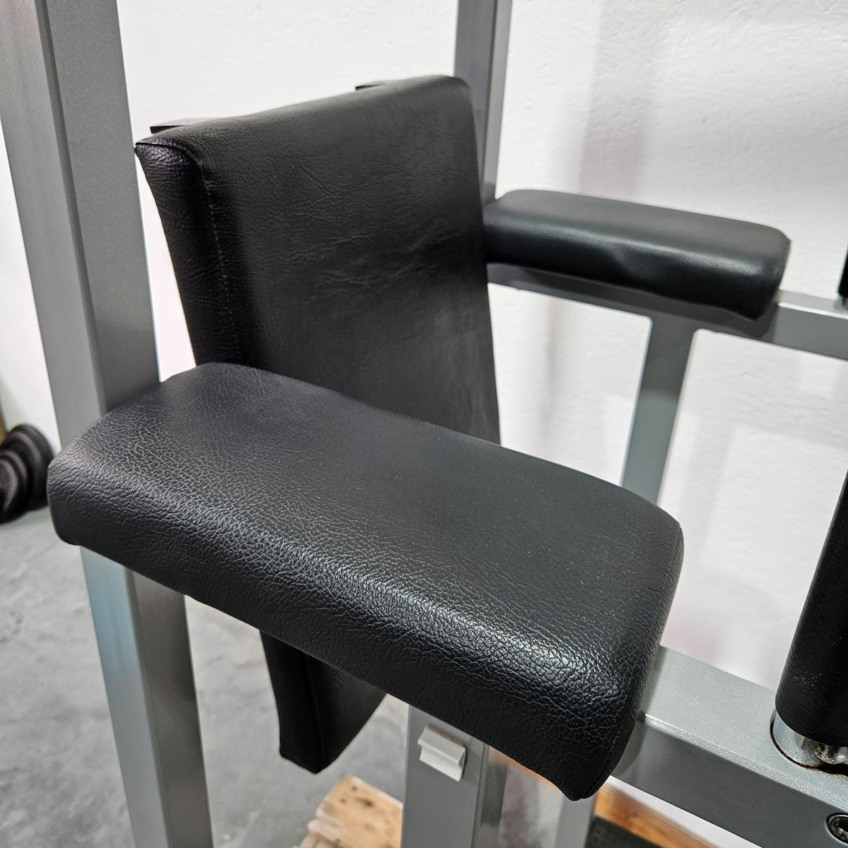 Technogym 3 in 1 Gerät, Dips, Beinheben und Klimmzug Ständer, Silverline, Rahmen Silber, gebraucht - geprüfter Zustand mit Gebrauchsspuren