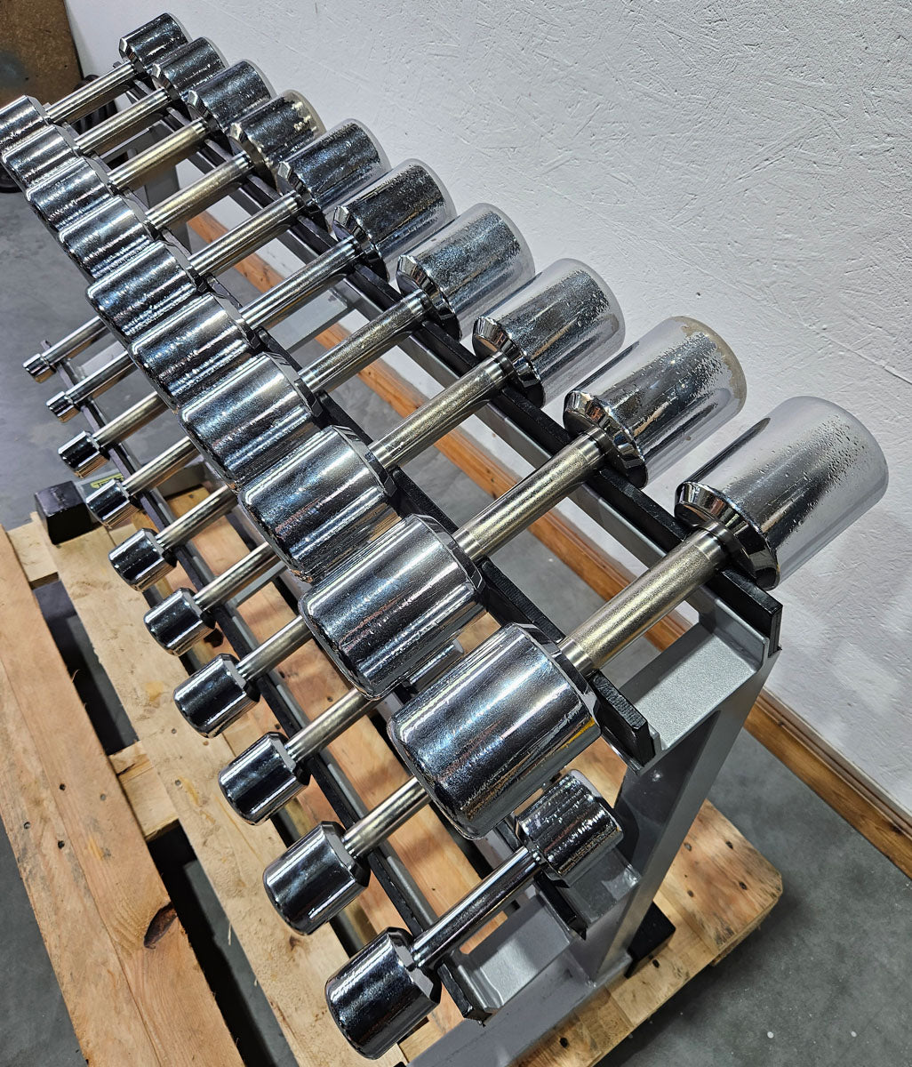Technogym Chrom Hantelsatz Paare 1-10kg, 10 Paare inkl. Ständer, Rahmenfarbe Silber, gebraucht mit Gebrauchsspuren