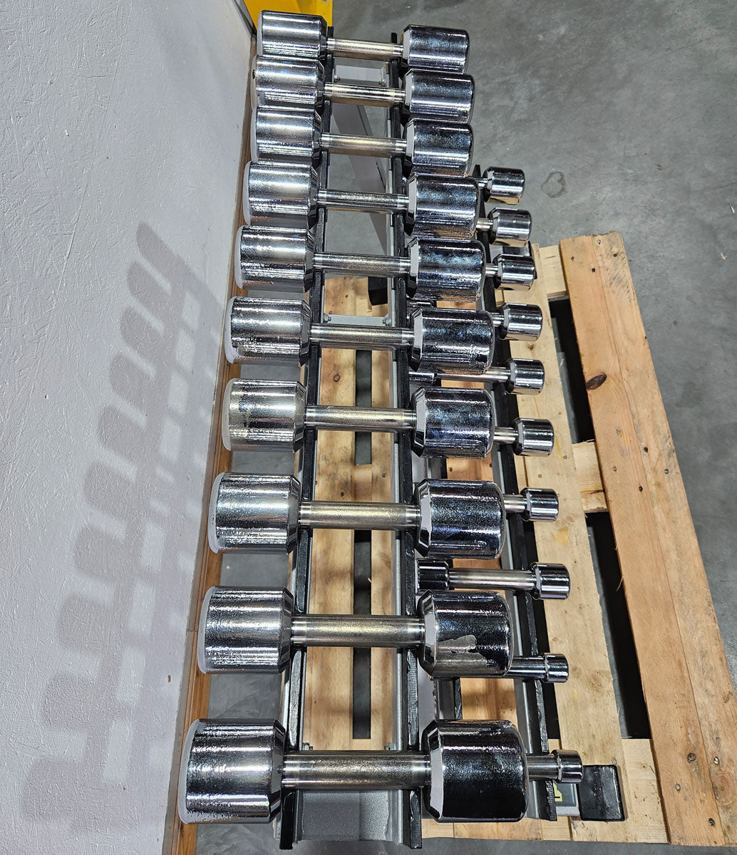 Technogym Chrom Hantelsatz Paare 1-10kg, 10 Paare inkl. Ständer, Rahmenfarbe Silber, gebraucht mit Gebrauchsspuren