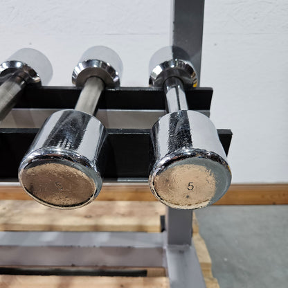 Technogym Chrom Hantelsatz Paare 1-10kg, 10 Paare inkl. Ständer, Rahmenfarbe Silber, gebraucht mit Gebrauchsspuren