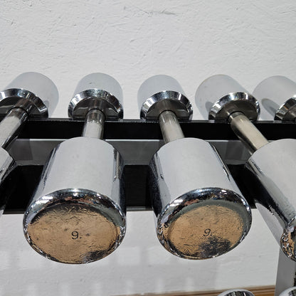 Technogym Chrom Hantelsatz Paare 1-10kg, 10 Paare inkl. Ständer, Rahmenfarbe Silber, gebraucht mit Gebrauchsspuren