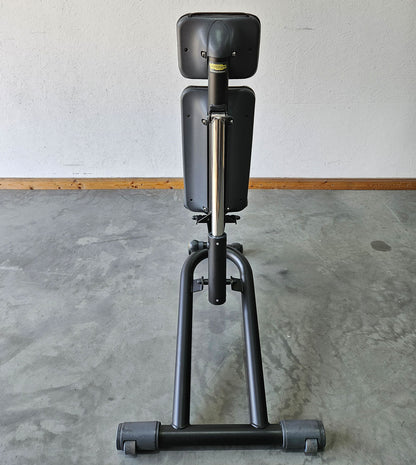 Technogym verstellbare Hantelbank ohne Ablagen, Multibank, Universalbank, Adjustable Bench, Rahmenfarbe Schwarz, gebraucht - überholter Zustand
