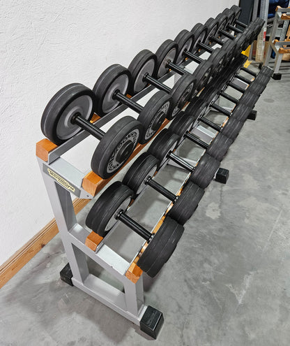 Technogym Kurzhantelsatz aus Guss mit Gummi Außenringen von 12 bis 30kg in 2kg Stufen ( 10 Paare ) Oldschool, Inkl. Kurzhantelablage, gebraucht - mit Gebrauchsspuren