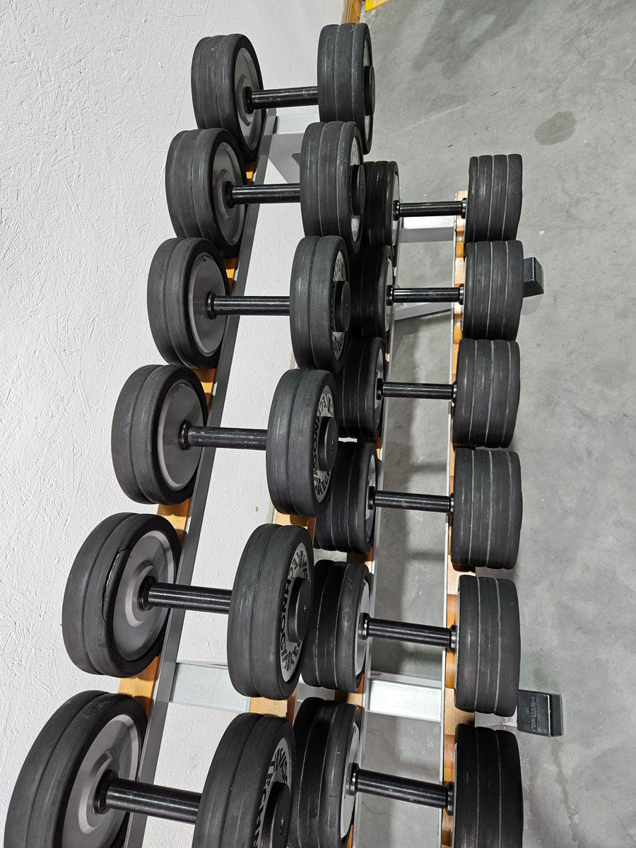 Technogym Kurzhantelsatz aus Guss mit Gummi Außenringen von 12 bis 30kg in 2kg Stufen ( 10 Paare ) Oldschool, Inkl. Kurzhantelablage, gebraucht - mit Gebrauchsspuren