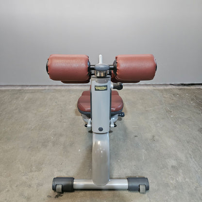 Technogym 2er Set Lower Back Bench und Abdominal Bench - Hyperextension Rückenstreckerbank und verstellbare Bauchbank, Rahmen Silber, gebraucht - überholter Zustand
