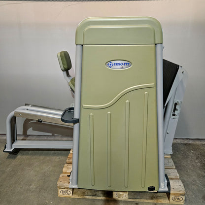 Ergo-Fit Funktionsstemme, Beinpresse verstellbar, 172,5kg Gewichtsblock, 4000 S MED Serie, MPG, Reha, Rahmenfarbe Silber, gebraucht - überholter Zustand
