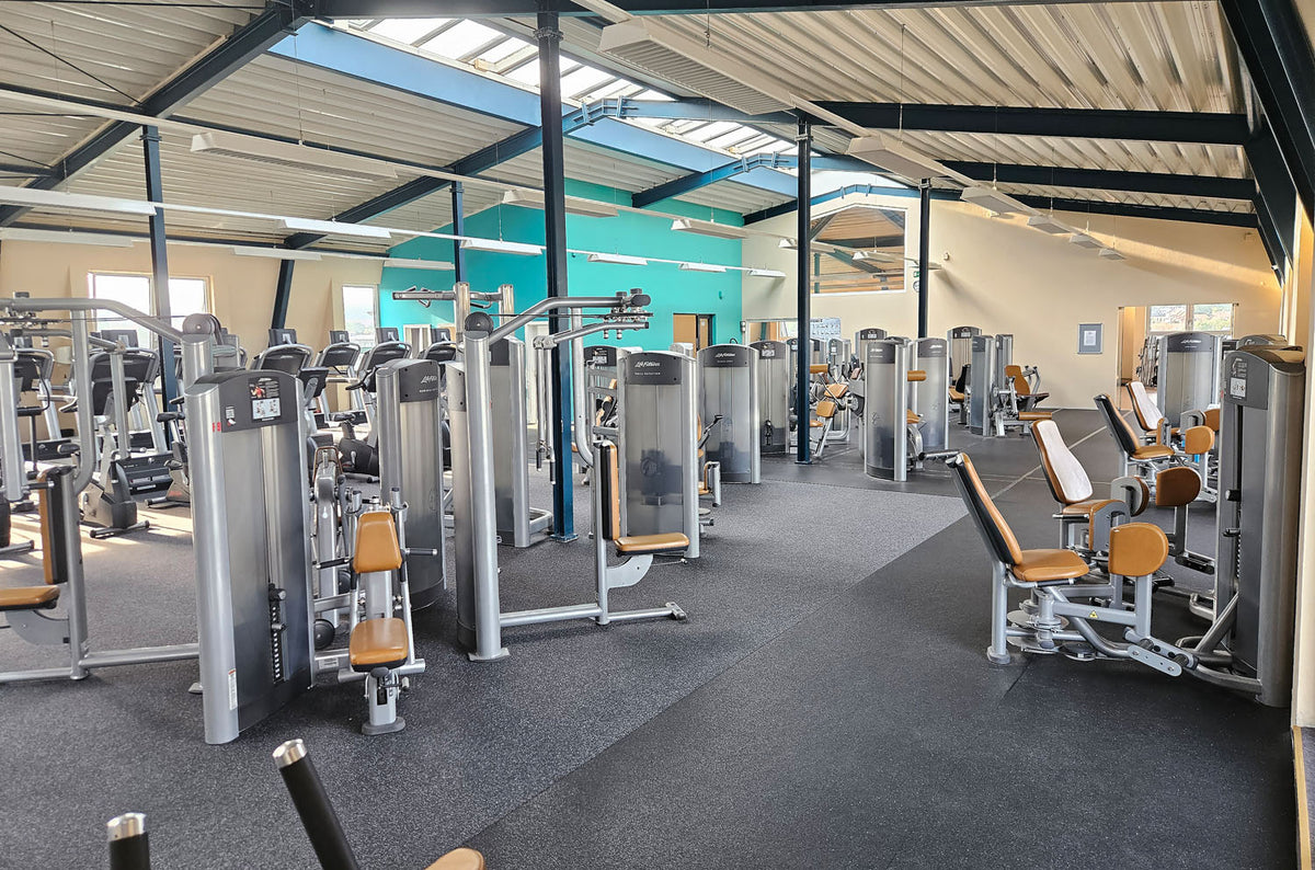 Life Fitness & Hammer Strength - 95 Fitnessgeräte - 105 Stationen, Kraftgeräte, Cardiogeräte, Plate loaded Geräte, Bänke etc - komplettes Fitnessstudio - gebraucht, überholter TOP Zustand