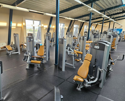 Life Fitness & Hammer Strength - 95 Fitnessgeräte - 105 Stationen, Kraftgeräte, Cardiogeräte, Plate loaded Geräte, Bänke etc - komplettes Fitnessstudio - gebraucht, überholter TOP Zustand