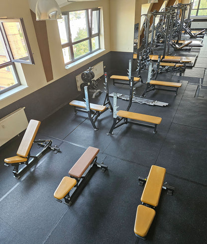 Life Fitness & Hammer Strength - 95 Fitnessgeräte - 105 Stationen, Kraftgeräte, Cardiogeräte, Plate loaded Geräte, Bänke etc - komplettes Fitnessstudio - gebraucht, überholter TOP Zustand