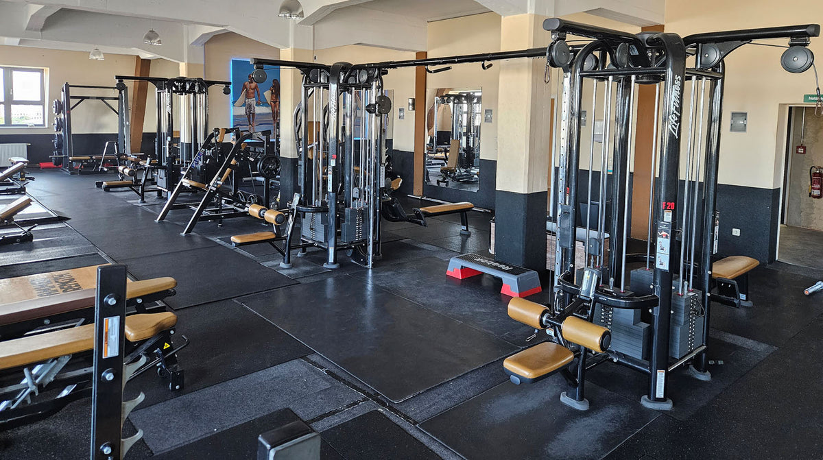 Life Fitness & Hammer Strength - 95 Fitnessgeräte - 105 Stationen, Kraftgeräte, Cardiogeräte, Plate loaded Geräte, Bänke etc - komplettes Fitnessstudio - gebraucht, überholter TOP Zustand