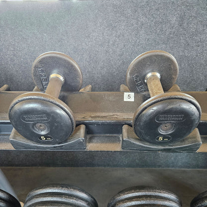 ElbeSport cast iron dumbbell set from 2.5 to 60 kg in 2.5 kg increments (24 pairs) Oldschool, INCLUDING dumbbell racks, used - with signs of wear