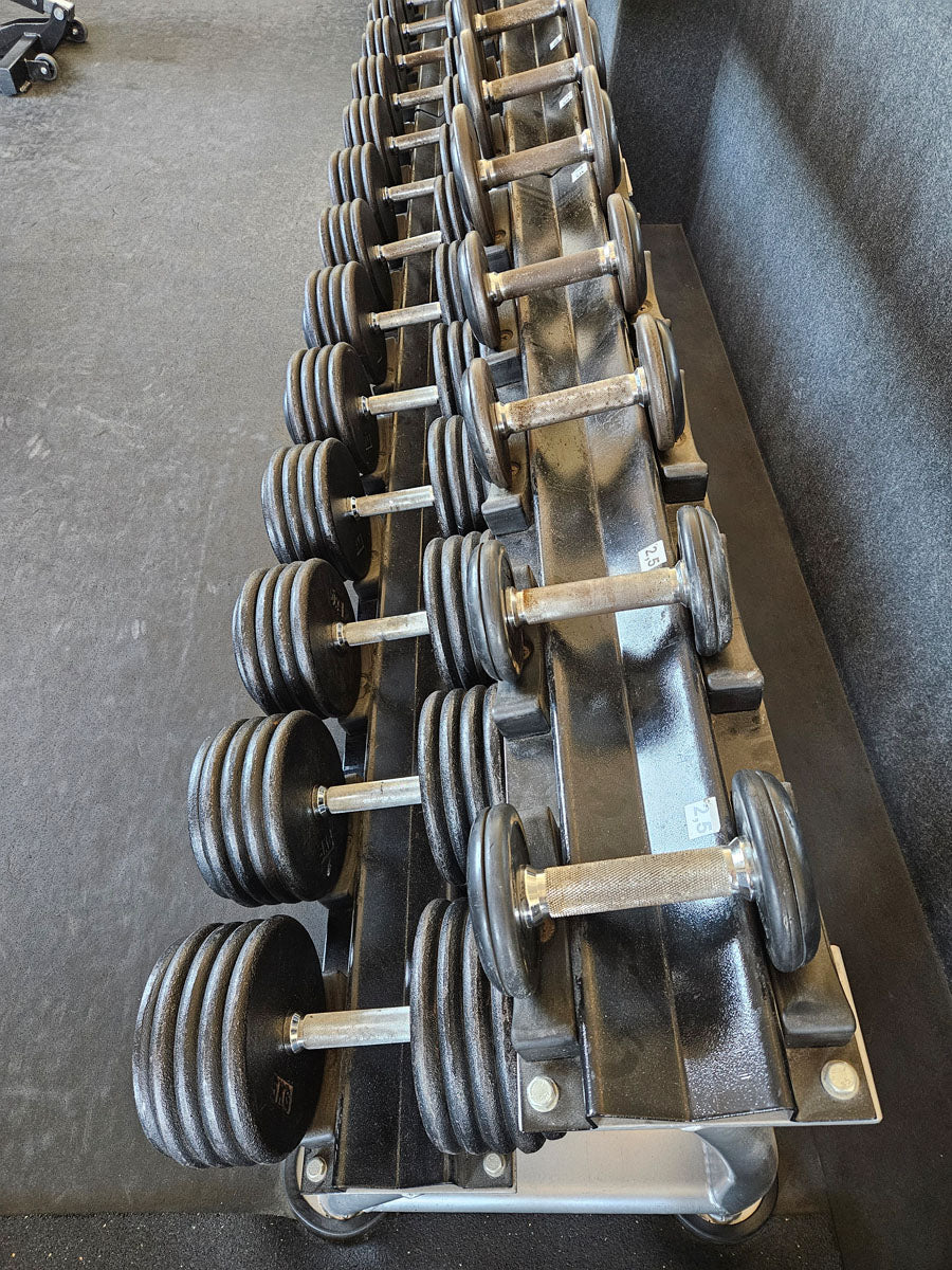 ElbeSport cast iron dumbbell set from 2.5 to 60 kg in 2.5 kg increments (24 pairs) Oldschool, INCLUDING dumbbell racks, used - with signs of wear