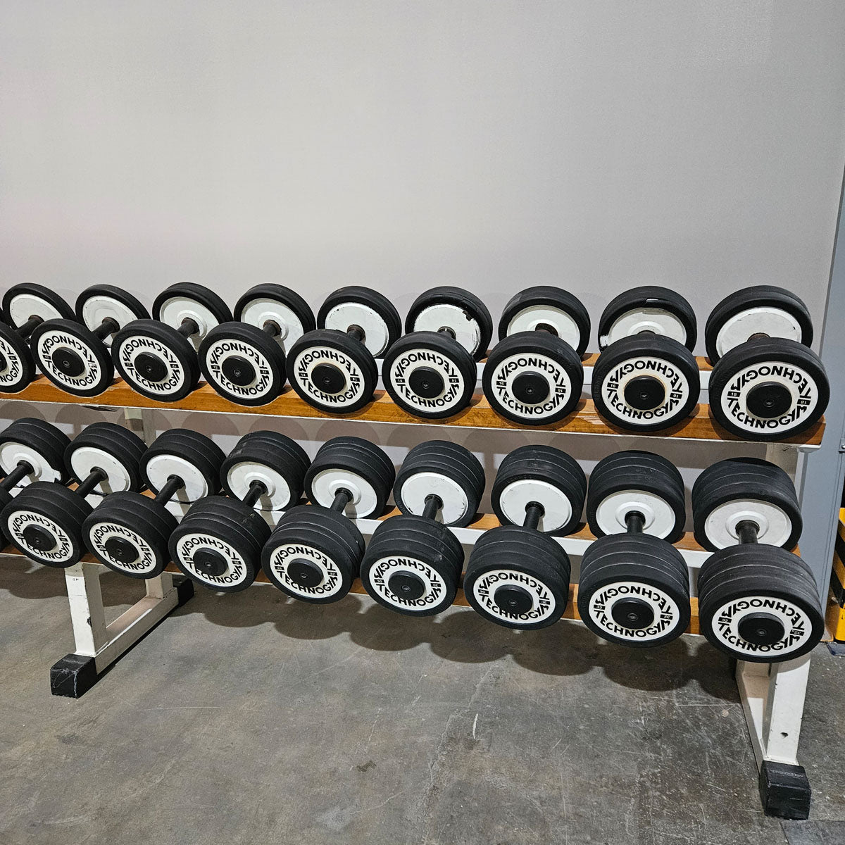 Technogym Kurzhantelsatz aus Guss mit Gummi Außenringen von 4 bis 32kg in 2kg Stufen ( 15 Paare ) Oldschool, Optional mit Kurzhantelablage, gebraucht - mit Gebrauchsspuren
