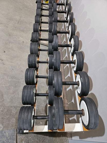 Technogym Kurzhantelsatz aus Guss mit Gummi Außenringen von 4 bis 32kg in 2kg Stufen ( 15 Paare ) Oldschool, Optional mit Kurzhantelablage, gebraucht - mit Gebrauchsspuren