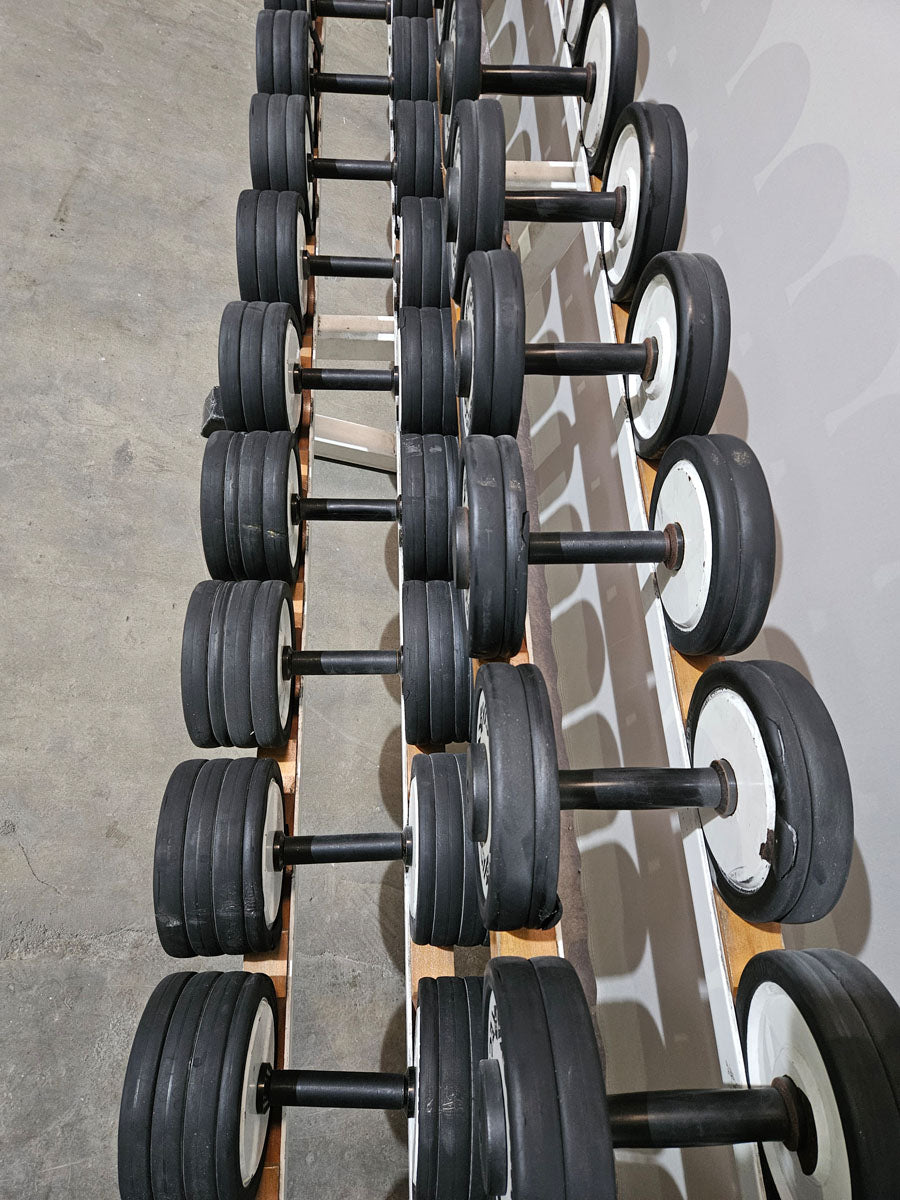 Technogym Kurzhantelsatz aus Guss mit Gummi Außenringen von 4 bis 32kg in 2kg Stufen ( 15 Paare ) Oldschool, Optional mit Kurzhantelablage, gebraucht - mit Gebrauchsspuren